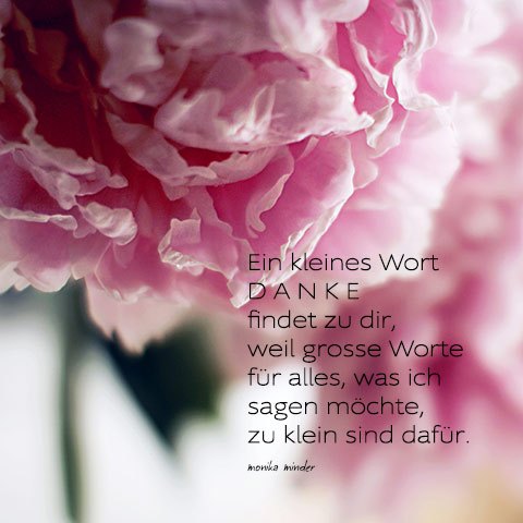 Naturfotografie rosa pink Pfingstrosen Blume mit Gedicht ein kleines Wort danke